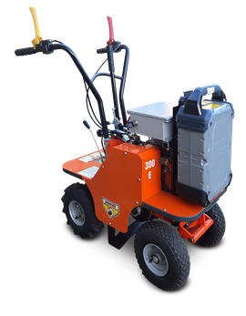 Benassi L300E electric turf cutter